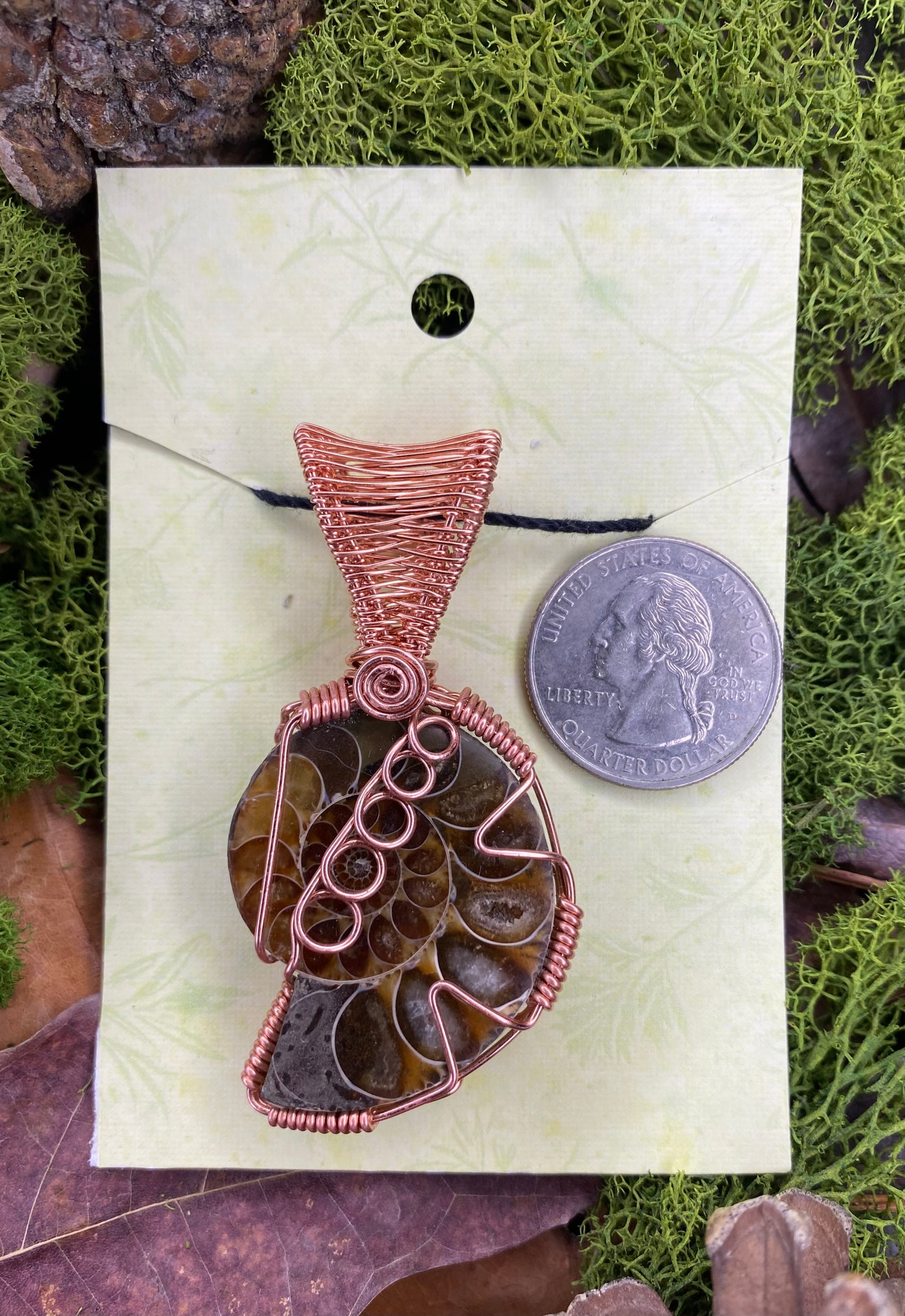 Copper Wrapped Ammonite Fossil 02