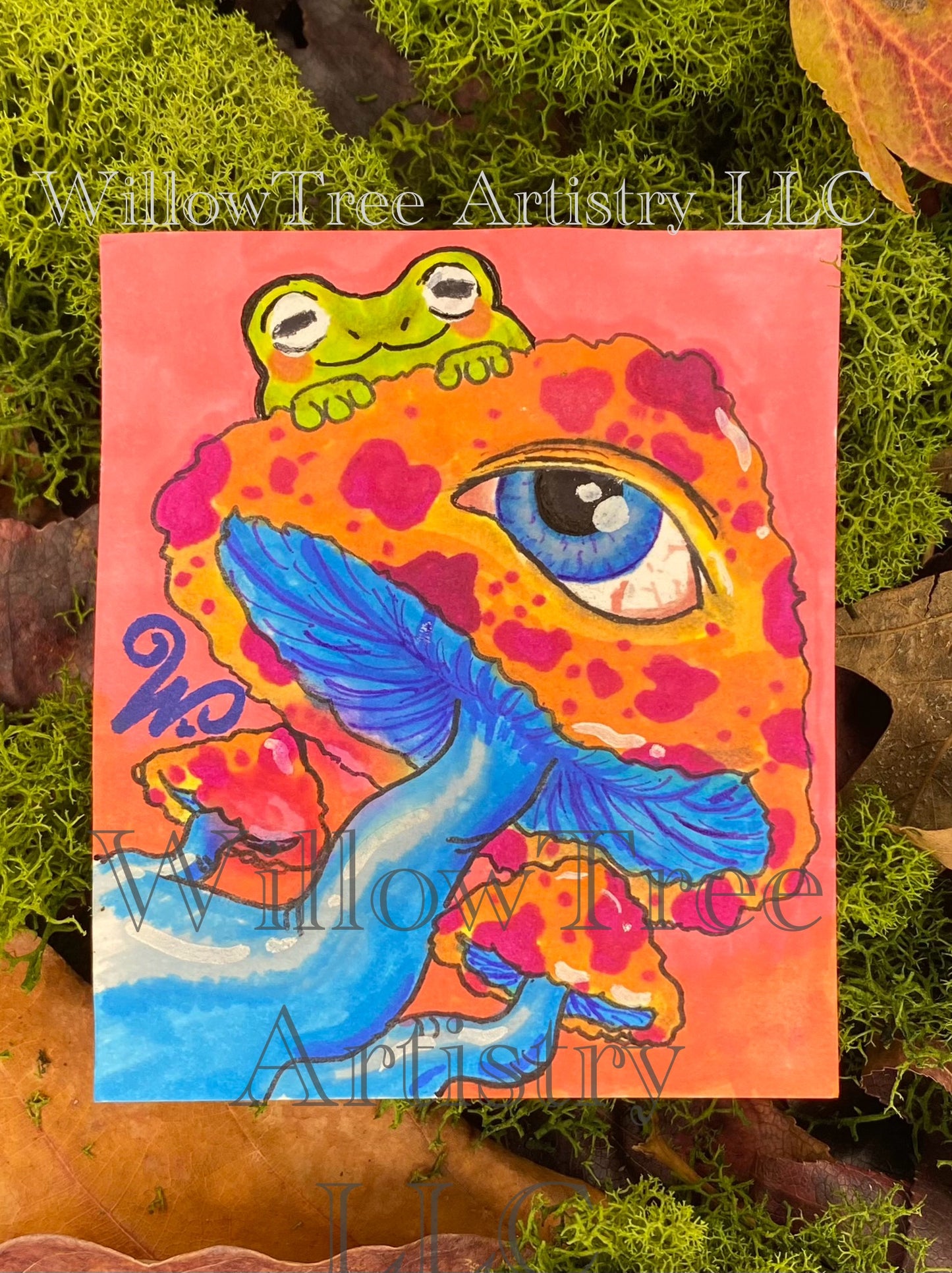 Mush n Frog
