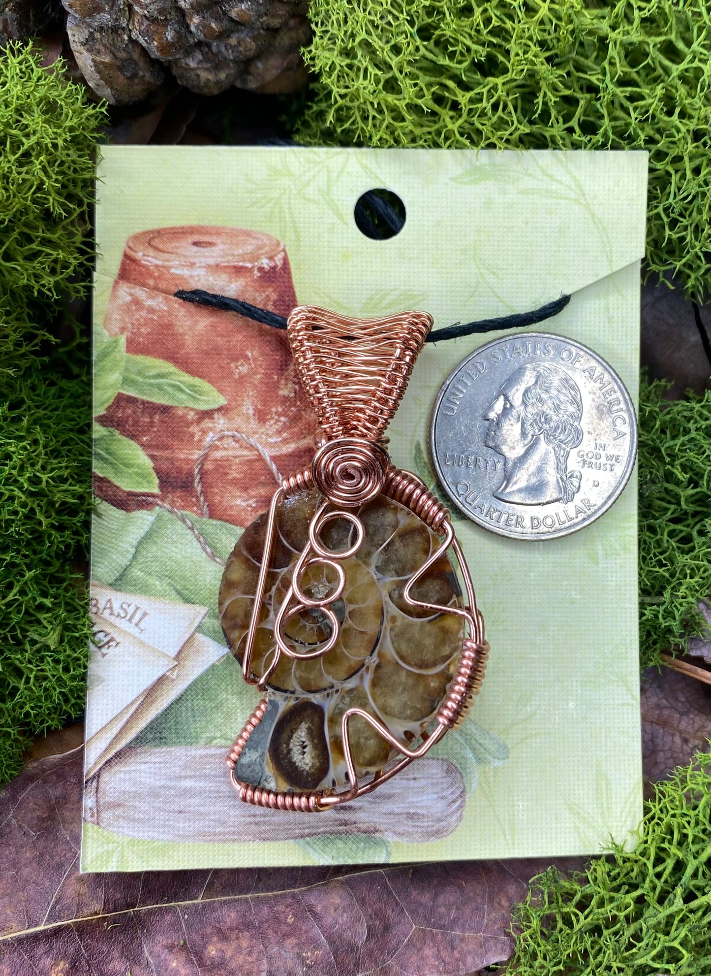 Copper Wrapped Ammonite Fossil 01