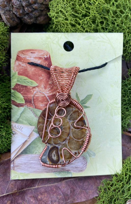 Copper Wrapped Ammonite Fossil 01