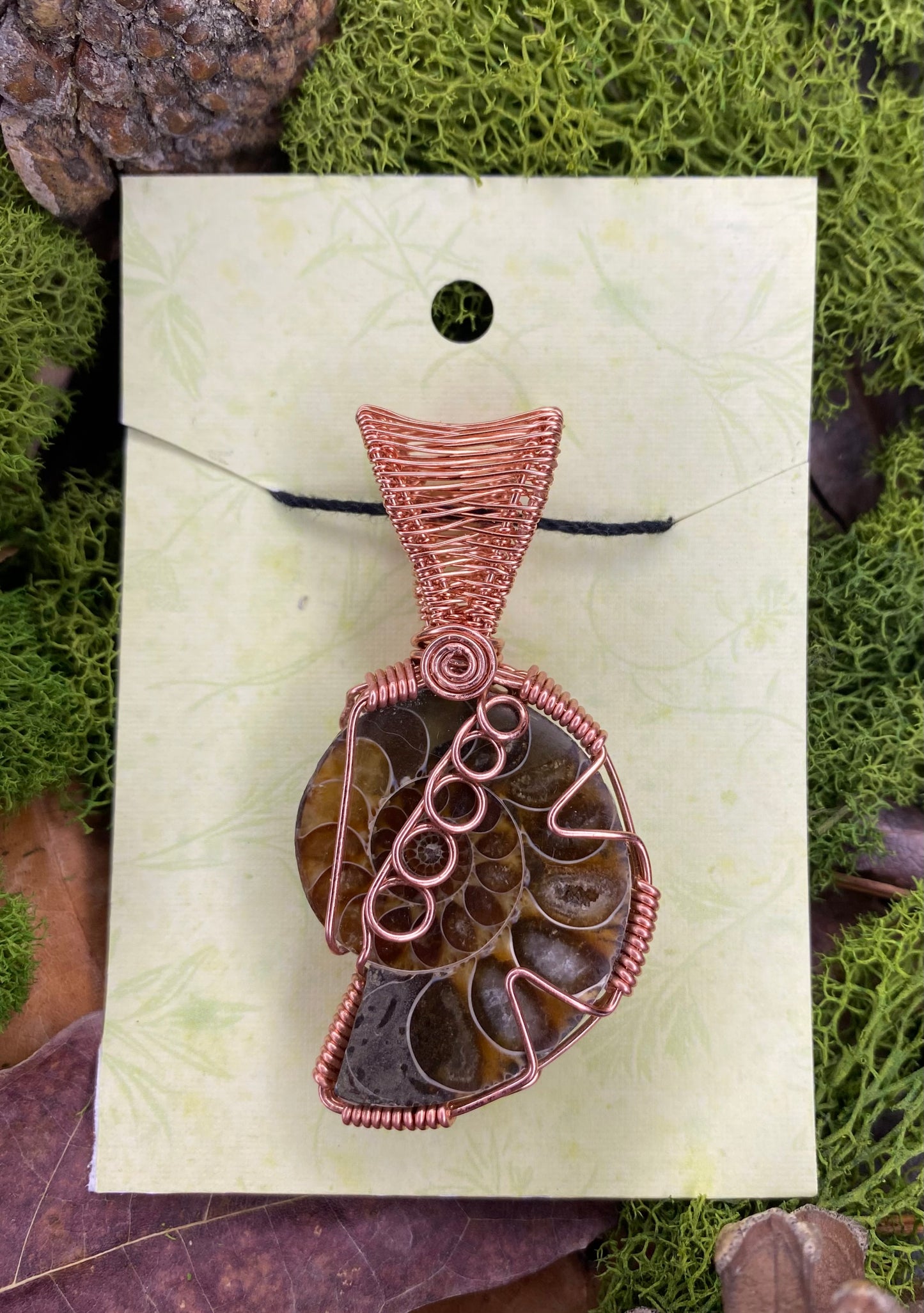 Copper Wrapped Ammonite Fossil 02
