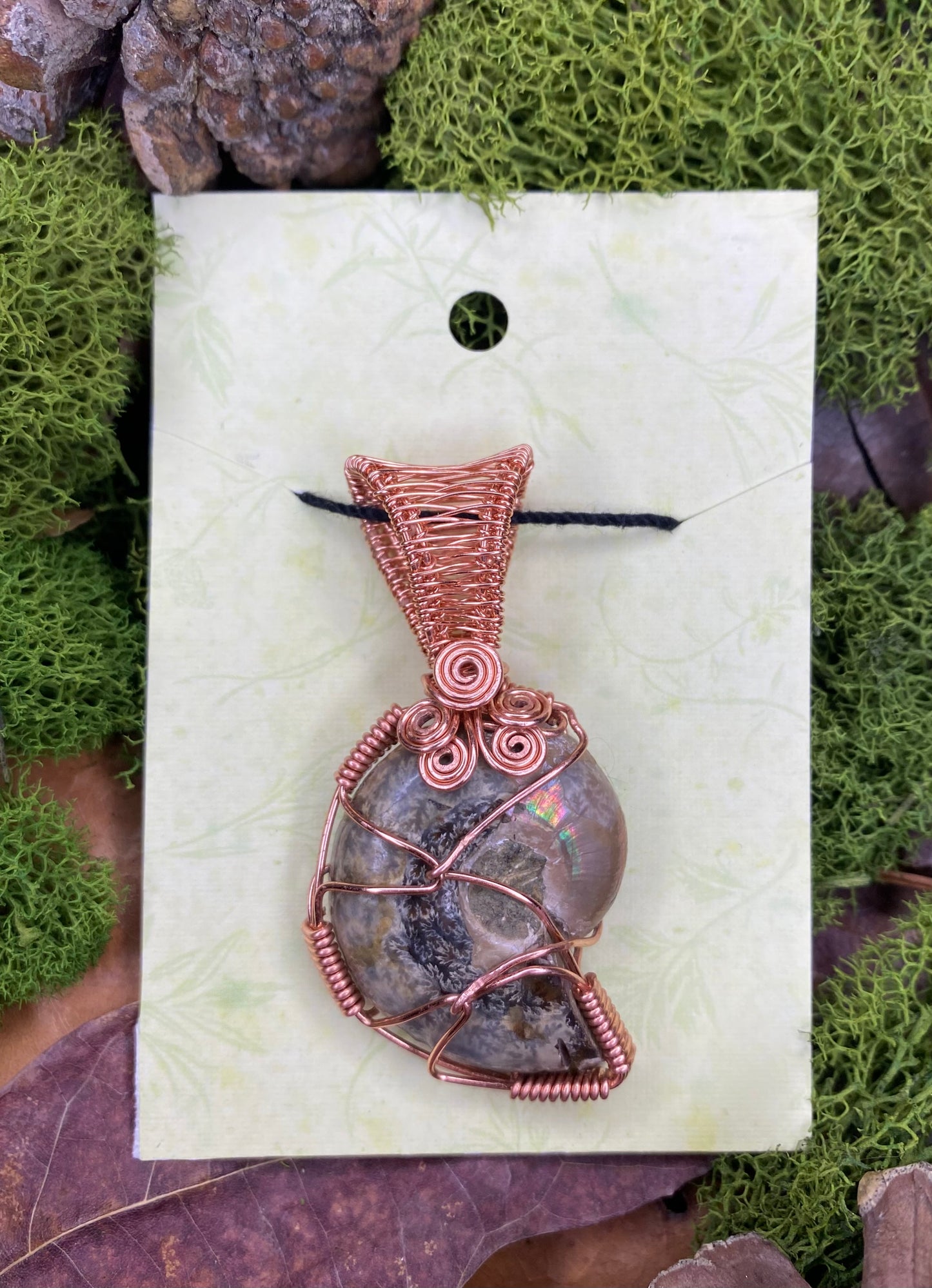 Copper Wrapped Ammonite Fossil 02